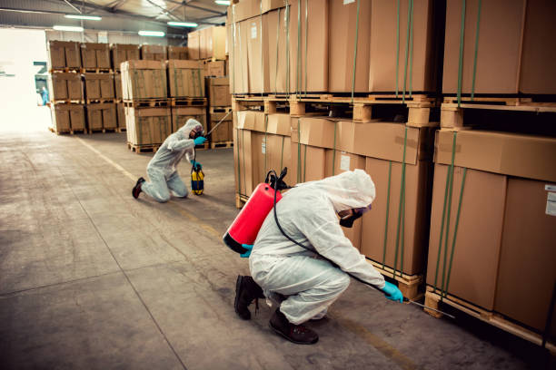 Best Local Pest Control Services  in Lakewood Park, TN